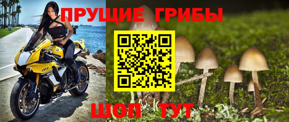 Псилоцибиновые грибы MAGIC MUSHROOMS Кудымкар